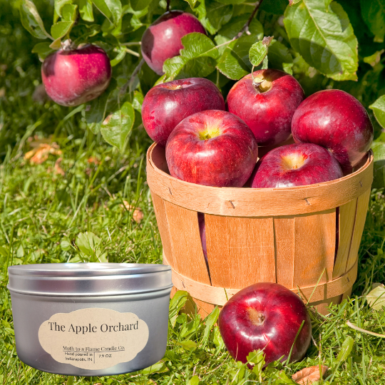 The Apple Orchard