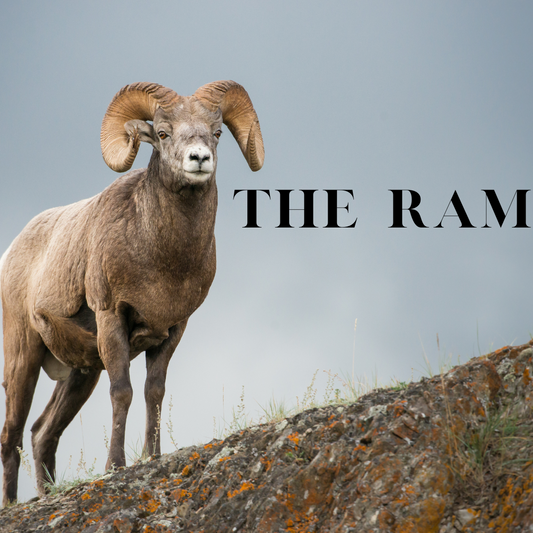 The Ram