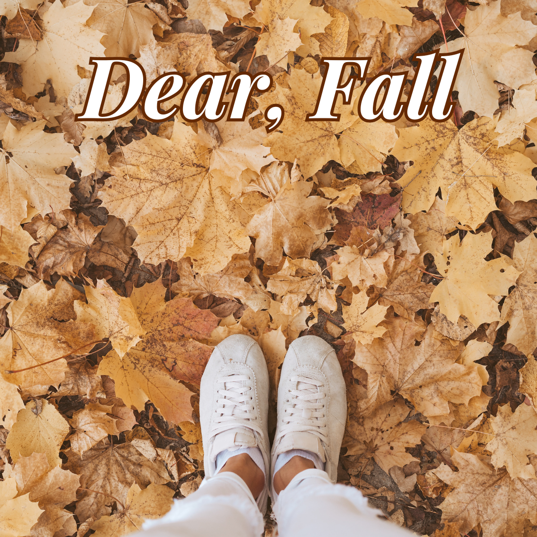 Dear, Fall